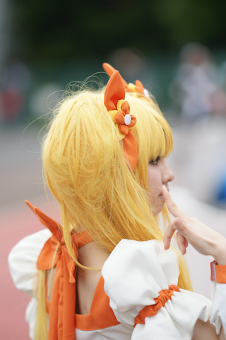 星空体育下载网址|菠萝格价格开始上涨(图3) 星空体育下载